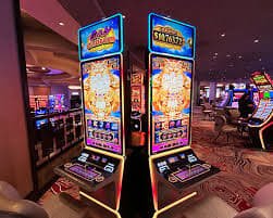 377bet win